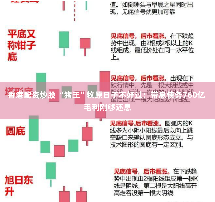 香港配资炒股 “猪王”牧原日子不好过：带息债务760亿 毛利刚够还息